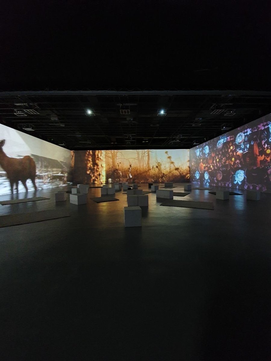 Breach installation view at MIRA Festival: three wall-sized projections around a dark hall