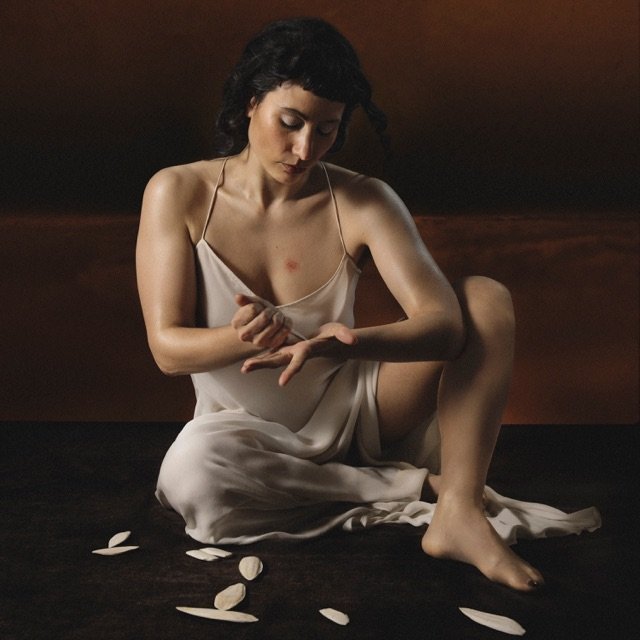Lisel — The Vanishing Point cover